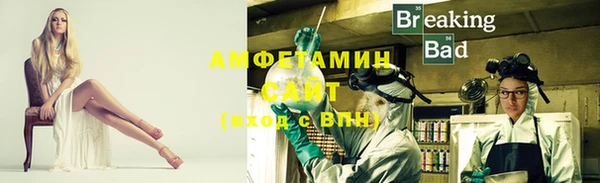 прущие грибы Аркадак