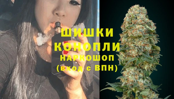 прущие грибы Аркадак