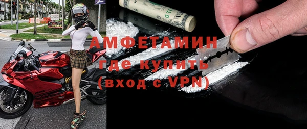 прущие грибы Аркадак