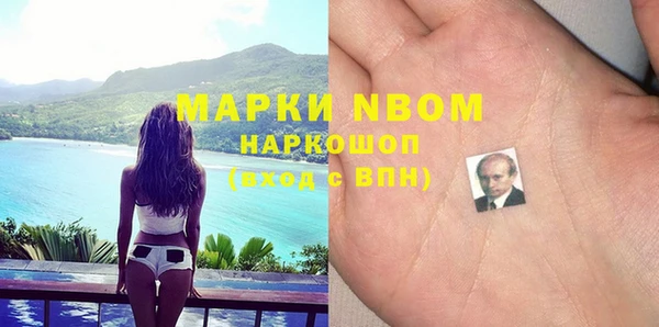 прущие грибы Аркадак