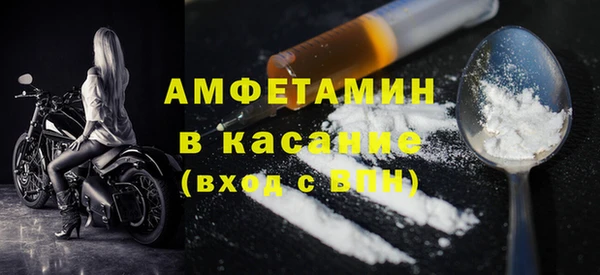 прущие грибы Аркадак