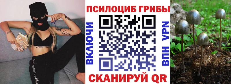 kraken ONION Оханск Псилоцибиновые грибы MAGIC MUSHROOMS купить наркоту